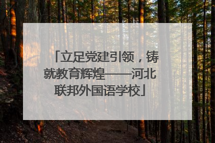 立足党建引领，铸就教育辉煌——河北联邦外国语学校