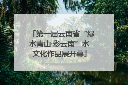 第一届云南省“绿水青山·彩云南”水文化作品展开幕
