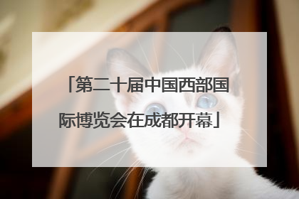 第二十届中国西部国际博览会在成都开幕