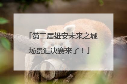第二届雄安未来之城场景汇决赛来了！