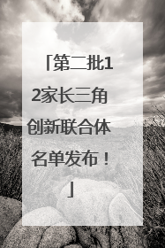 第二批12家长三角创新联合体名单发布！