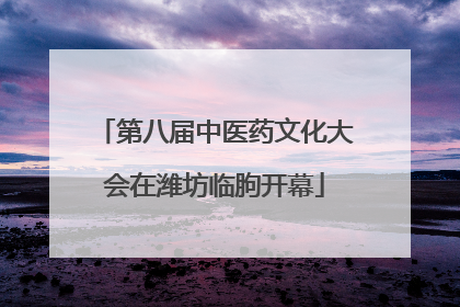 第八届中医药文化大会在潍坊临朐开幕