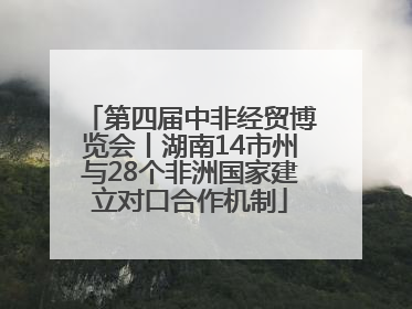 第四届中非经贸博览会丨湖南14市州与28个非洲国家建立对口合作机制