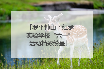罗平钟山：红承实验学校“六一”活动精彩纷呈