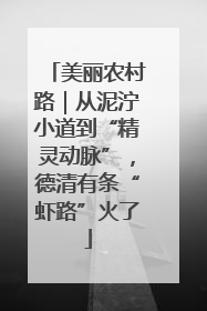 美丽农村路｜从泥泞小道到“精灵动脉”，德清有条“虾路”火了