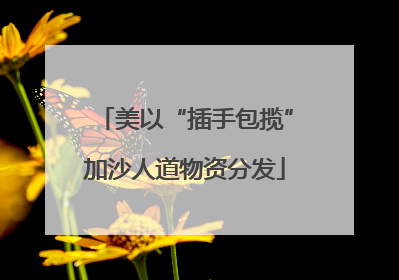 美以“插手包揽”加沙人道物资分发