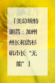 美总统特朗普：加州州长和洛杉矶市长“无能”