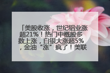 美股收涨，世纪铝业涨超21%！热门中概股多数上涨，白银大涨超5%，金油“涨”疯了！美联储官员最新表态
