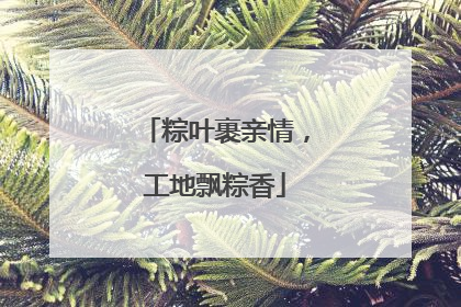 粽叶裹亲情，工地飘粽香