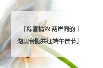粽香情浓·两岸同韵丨湖里台胞共迎端午佳节
