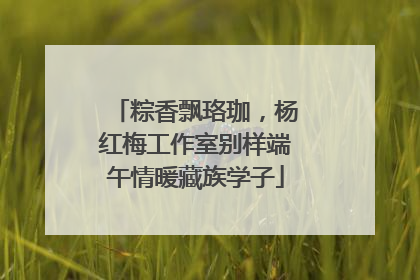 粽香飘珞珈，杨红梅工作室别样端午情暖藏族学子
