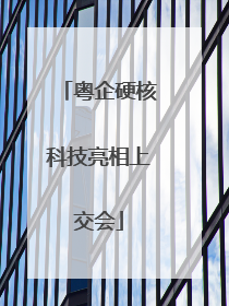 粤企硬核科技亮相上交会