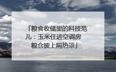 粮食收储里的科技范儿：玉米住进空调房 粮仓披上隔热罩