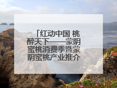 红动中国 桃醉天下——蒙阴蜜桃消费季暨蒙阴蜜桃产业推介会成功举办