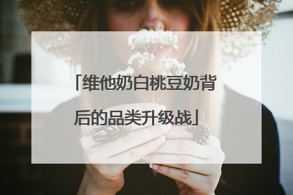 维他奶白桃豆奶背后的品类升级战