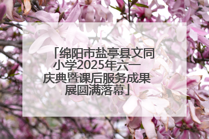 绵阳市盐亭县文同小学2025年六一庆典暨课后服务成果展圆满落幕