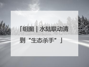 组图｜水陆联动清剿“生态杀手”