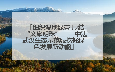 细织湿地绿带 厚结“文旅明珠”——中法武汉生态示范城挖掘绿色发展新动能