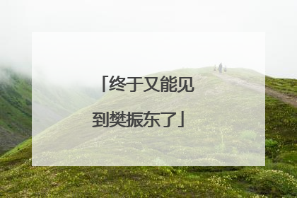 终于又能见到樊振东了