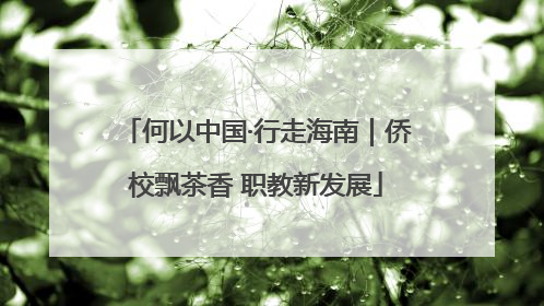 何以中国·行走海南｜侨校飘茶香 职教新发展