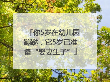 你5岁在幼儿园蹦跶，它5岁已准备“娶妻生子”