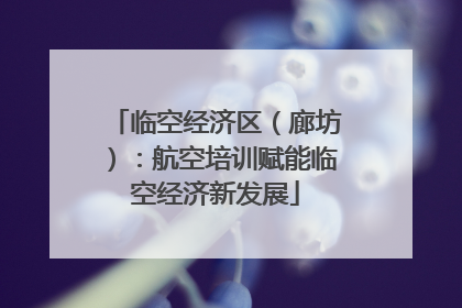 临空经济区（廊坊）：航空培训赋能临空经济新发展