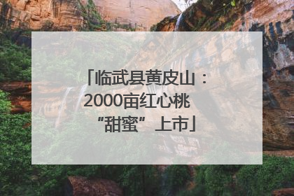 临武县黄皮山：2000亩红心桃“甜蜜”上市