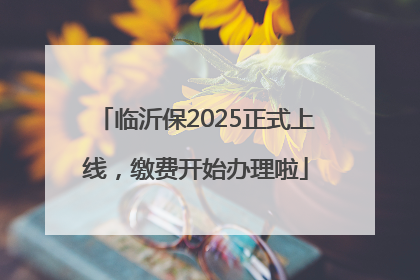 临沂保2025正式上线，缴费开始办理啦