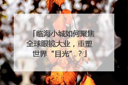 临海小城如何聚焦全球眼镜大业，重塑世界“目光”？