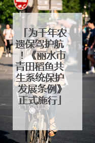 为千年农遗保驾护航！《丽水市青田稻鱼共生系统保护发展条例》正式施行