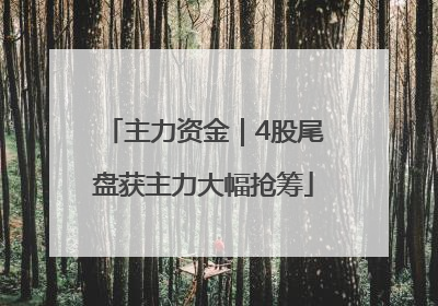 主力资金｜4股尾盘获主力大幅抢筹
