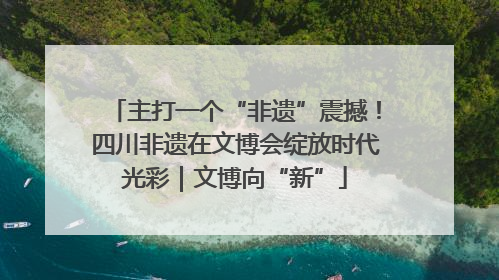 主打一个“非遗”震撼！四川非遗在文博会绽放时代光彩｜文博向“新”