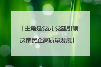 主角是党员 党建引领这家民企高质量发展