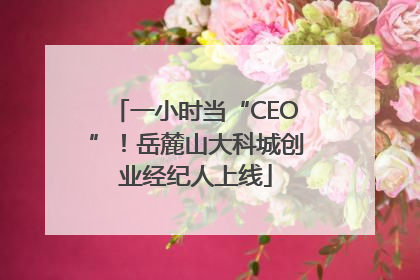 一小时当“CEO”！岳麓山大科城创业经纪人上线