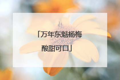 万年东魁杨梅 酸甜可口