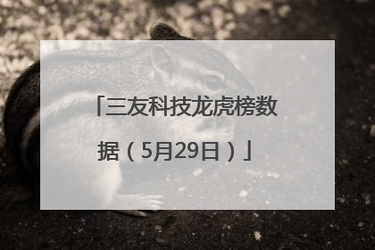 三友科技龙虎榜数据（5月29日）