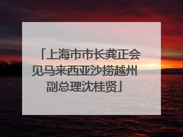 上海市市长龚正会见马来西亚沙捞越州副总理沈桂贤