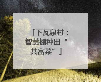 下瓦泉村：智慧棚种出“共富菜”