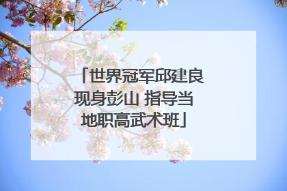 世界冠军邱建良现身彭山 指导当地职高武术班