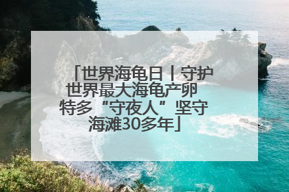 世界海龟日丨守护世界最大海龟产卵 特多“守夜人”坚守海滩30多年
