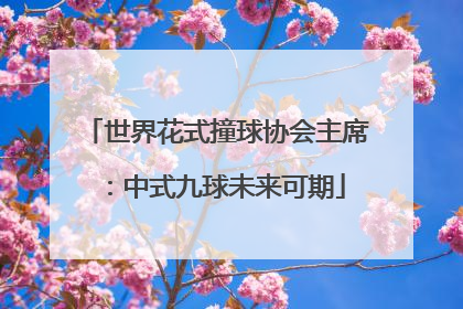 世界花式撞球协会主席：中式九球未来可期