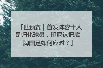 世预赛｜首发阵容十人是归化球员，印尼这把底牌国足如何应对？