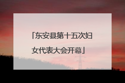 东安县第十五次妇女代表大会开幕
