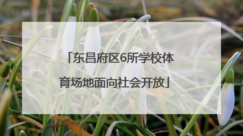 东昌府区6所学校体育场地面向社会开放