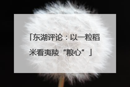 东湖评论：以一粒稻米看夷陵“粮心”