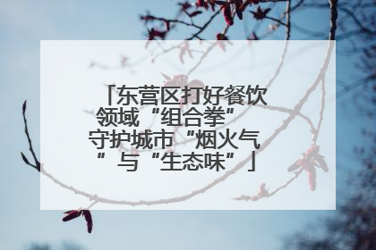 东营区打好餐饮领域“组合拳” 守护城市“烟火气”与“生态味”