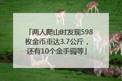 两人爬山时发现598枚金币重达3.7公斤，还有10个金手镯等