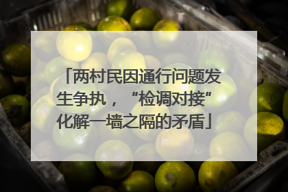 两村民因通行问题发生争执，“检调对接”化解一墙之隔的矛盾