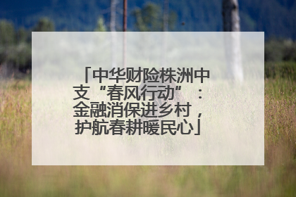 中华财险株洲中支“春风行动”：金融消保进乡村，护航春耕暖民心