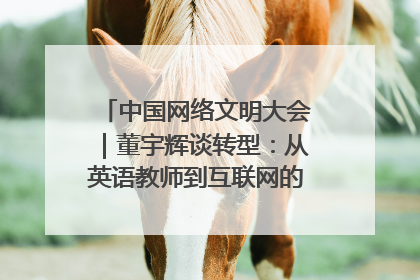 中国网络文明大会｜董宇辉谈转型：从英语教师到互联网的“秦腔”之路